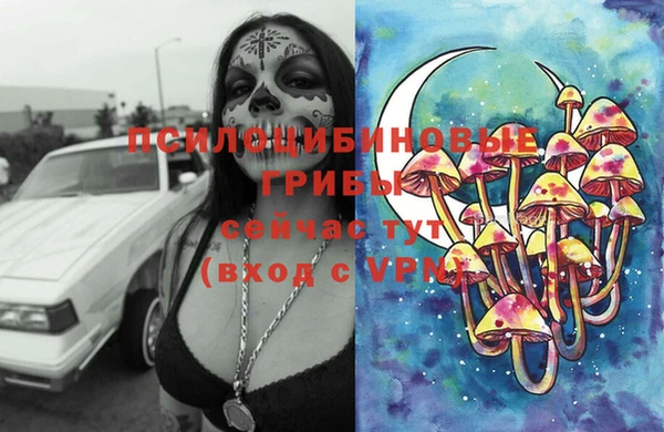 мяу мяу кристалл Алексин