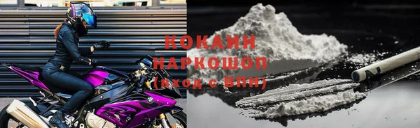 индика Сатка