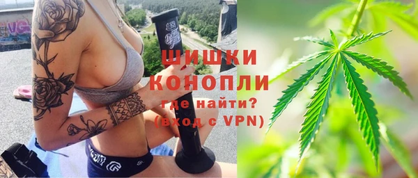 МДПВ Алзамай
